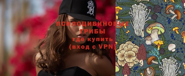 твердый Алзамай