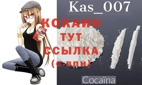 твердый Алзамай