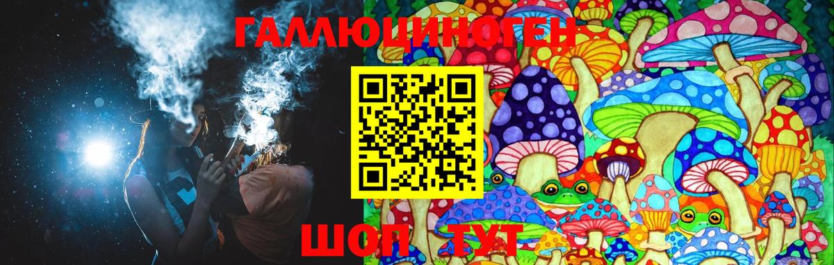 Псилоцибиновые грибы прущие грибы Тосно